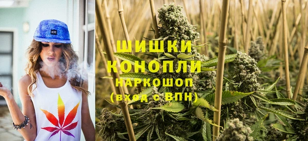 прущая мука Ельня
