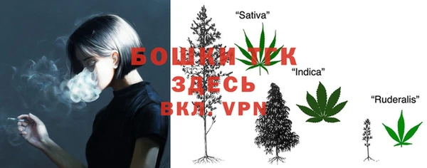 spice Елизово