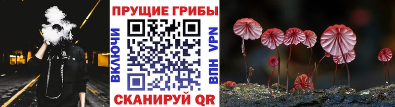 Псилоцибиновые грибы ЛСД Мурино