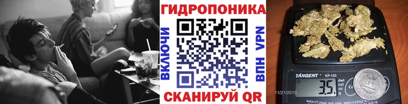 Бошки марихуана гибрид  что такое   Мурино 